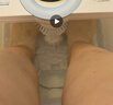 蘇泊爾（SUPOR）泡腳桶足浴盆電動洗腳盆過膝深桶恒溫加熱全自動按摩2025實用中秋節(jié)禮物禮品送媽媽爸爸長輩老人 【舒適款】-三檔按摩力度+記憶功能+恒溫速熱 曬單實拍圖