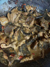養殖農產(chǎn)品眼鏡中藥材藥用蛇生鮮蛇肉泡酒煮湯 眼竟毛重 2斤 曬單實(shí)拍圖