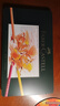 輝柏嘉（Faber-castell）油性彩色鉛筆專(zhuān)業(yè)手繪藝術(shù)家大師級繪畫(huà)套裝60色綠鐵盒裝110060節日開(kāi)學(xué)禮物【梵高認證】 曬單實(shí)拍圖