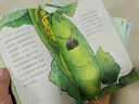 爆笑昆蟲記（全10冊）法布爾昆蟲記漫畫版 不愛看書的孩子也愛看的科普漫畫   曬單實拍圖