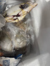 舟山梭子蟹鮮活特大野生大螃蟹新鮮冷凍海鮮水產(chǎn)海蟹飛蟹白蟹順豐 7-9兩/只【5斤 特大當季船供】 曬單實(shí)拍圖