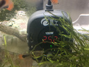 魚(yú)寧魚(yú)缸加熱棒龜缸小型低水位迷你養(yǎng)龜變頻加溫棒烏龜自動(dòng)恒溫加熱器 100W 低水位/變頻加熱/離水?dāng)嚯?精度控溫 曬單實(shí)拍圖