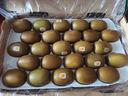 佳沛（zespri）新西蘭 陽光金奇異果12粒禮盒特大果單果約122-146g 獼猴桃 水果 曬單實拍圖