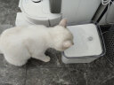 来旺兄弟猫咪饮水机自动循环宠物狗狗智能喂水器活水水盆升级2.0 白色款 实拍图