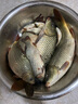 倉吉釣魚配件盒魚具魚鉤盒子魚線線組鉛皮浮漂座收納盒垂釣小配件漁具 倉吉配件盒（淺藍(lán)色） 曬單實(shí)拍圖
