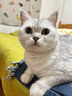 飛利浦（PHILIPS）【李佳琦同款】電動牙刷鉆石7系護齦刷 生日禮物 情侶款 送男生/女友 HX3792/02鍛光粉  曬單實拍圖
