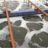 碧之道有機硅消泡劑工業(yè)污水處理化泡劑涂料造紙紡織干洗店切削液除泡王 5斤 【環(huán)保型/不傷材質(zhì)】 曬單實(shí)拍圖