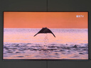 海信電視E8Q 85英寸 信芯H6 U+MiniLED  黑曜屏 首發(fā)330Hz高刷 帝瓦雷音響 E8NPRO升級 國家補貼85E8Q 曬單實(shí)拍圖