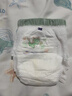 名典泰迪山茶花拉拉褲XL76片【24-29斤】嬰兒尿不濕超薄透氣尿褲男女通用 曬單實(shí)拍圖