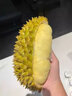 攸竹泰國金枕榴蓮 馬來(lái)西亞貓山王榴蓮D197次日達帶殼金枕榴蓮禮盒 A級金枕6-7斤/一個(gè)裝 曬單實(shí)拍圖