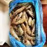 青島大蝦整箱海鮮鮮活速凍超特大冷凍基圍蝦鮮蝦海蝦對蝦青蝦 18厘米左右約56只/盒 3斤(凈重)  整箱4斤【凈重3斤左右】 曬單實(shí)拍圖