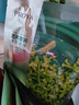珀萊雅（PROYA）面膜 小球藻面膜 保濕海藻面膜補水面膜女男20片 曬單實(shí)拍圖