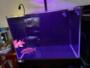 萊易歐 ALEO工業(yè)風(fēng)2代底濾超白玻璃魚(yú)缸客廳立式溪流缸海水缸生態(tài)小方缸 爵士黑 順豐上樓  61×52×132cm 筒燈款 曬單實(shí)拍圖