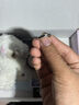s999銀共度愛(ài)河情侶對戒男女一對簡(jiǎn)約可調節生日情人節禮物送女友 【s999銀】共度愛(ài)河戒指【一對】 精美禮盒 曬單實(shí)拍圖