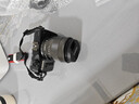 佳能 Canon EOS M3 EOS M6 EOS-M5微單相機 微型可換鏡二手微單相機 EOS-M 黑色18-55套機 95新 曬單實(shí)拍圖