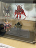 萬(wàn)代（BANDAI） Qmsv-mini 高達 盲盒模型玩具 8cm 扎古2.0（隨機1款） 曬單實(shí)拍圖