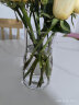九月生玻璃花瓶插花瓶绿植水培养生态瓶养花容器富贵竹透明北欧小花瓶 实拍图