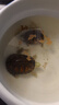 桑島高鈣龜糧烏龜飼料巴西烏龜鱷龜草龜陸龜1mm通用飼料200g 曬單實(shí)拍圖