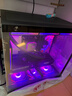 MSI全家桶U7 265KF微星5070/5070TI/5080顯卡電競游戲臺式組裝電腦AI主機DIY整機 酷睿U7 265KF+5080丨六 曬單實(shí)拍圖