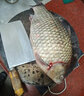 魚(yú)誘搖三搖粘粉餌料套裝正品野釣鯽魚(yú)專(zhuān)用搭配鄧剛推薦血蠶蛹誘魚(yú)小藥 搖三搖【1瓶】避小魚(yú) 曬單實(shí)拍圖