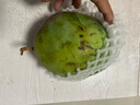 京鮮生 攀枝花凱特芒果 凈重8.5斤 帶箱9斤 單果400g+ 生鮮水果源頭直發(fā) 曬單實(shí)拍圖