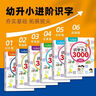 識(shí)字700個(gè)幼小銜接必備叢書(shū) 彩圖注音版 學(xué)前必備全面提高孩子的各項(xiàng)能力 曬單實(shí)拍圖