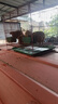 鵪鶉活苗下蛋青年鵪鶉雞苗陽(yáng)臺散養產(chǎn)蛋王黃羽鵪鶉寵物活物雞活體 1公4母【到家可下蛋】 曬單實(shí)拍圖