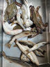 南北魚鉤大一針釣針黑袖有刺魚鉤鯽魚鉤鯉魚釣針鋒利貫穿靈敏釣魚配件 黑袖（有刺）5包 5號 曬單實拍圖