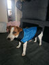 冬季狗狗棉服加厚保暖輕盈防水小狗衣服冬天外出冬裝棉衣寵物馬甲 黑+藍 XL（11-15斤） 狗狗V型馬甲棉服 曬單實(shí)拍圖