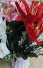伊芙美百合花假花仿真花套裝客廳餐廳桌面擺設花束室內房間裝飾花藝擺件 塑料花框+紅白粉百合套裝 曬單實(shí)拍圖