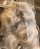 一蝦一世界鮮活冷凍小八爪魚(yú) 三去迷你章魚(yú)仔去齒去內臟 火鍋燒烤年夜飯食材 免處理中號 3斤(凈重)  4-6只/斤 曬單實(shí)拍圖