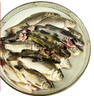 品鮮肴淡水魚(yú)自然捕獲三去淡水小雜魚(yú)3-4種魚(yú)類(lèi)鮮活魚(yú)現殺1200g海鮮水產(chǎn) 凈重3袋 400g/袋 去鱗去鰓去內臟 曬單實(shí)拍圖