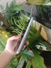 圖拉斯充電寶3C認證【熱銷(xiāo)200W+丨頂配超薄】磁吸充電寶式蘋(píng)果17 iphone16快充magsafe小云寶可上飛機 【頂配新3c認證】5千毫安 深空灰 國家3C安全認證丨可上飛機丨頂配超薄款 曬單實(shí)拍圖
