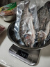 翔泰海南三去羅非魚(yú)/海南鯛1400g/共4條免處理 生鮮魚(yú)類(lèi) 海鮮水產(chǎn)  曬單實(shí)拍圖