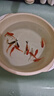 西洲曲金魚(yú)觀(guān)賞魚(yú)活魚(yú)魚(yú)苗冷水魚(yú)小型魚(yú)淡水魚(yú)好養耐活新手魚(yú)闖缸飼料魚(yú) 3-5cm草金混色10條送2條備損送魚(yú)食 曬單實(shí)拍圖