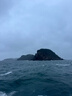 達億瓦（DAIWA）25新款深海船釣快抽鐵板竿海釣桿章紅金槍魚(yú)竿近海泛用竿十大品牌 1.63m 54B-4（1.63m獨節槍柄） 曬單實(shí)拍圖