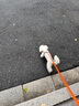 puppytie狗狗牽引繩小型犬狗繩遛狗繩背心式泰迪柯基寵物胸背帶狗狗胸背帶 珍珠白-胸背帶 XS-超小型建議 4-10斤 曬單實(shí)拍圖