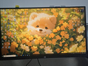 泰坦軍團24.5英寸 1152分區 MiniLED 2K 320Hz DyDs技術(shù) RGB背光燈 升降旋轉1msGTG專(zhuān)業(yè)電競顯示器P245MS+  曬單實(shí)拍圖