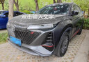 弗炫專用長(zhǎng)安CS75汽車補(bǔ)漆筆珍珠白車漆劃痕修復(fù)神器PLUS灰點(diǎn)漆修補(bǔ)筆 安第斯灰 CS75 PLUS 【強(qiáng)化修復(fù)】補(bǔ)漆筆+65ml劃痕蠟 曬單實(shí)拍圖