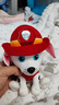 汪汪隊立大功（PAW PATROL）汪汪隊玩具毛絨全套狗狗玩偶公仔男女孩玩具旺旺隊生日禮物 經(jīng)典款-毛毛公仔【需選尺寸】 小號-坐高約15.2CM 曬單實(shí)拍圖