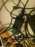 ?？低暎℉IKVISION）監(jiān)控專用電源DC48V電源適配器AC24V DC12V室外防水電源DS-2FA1202 DC12V電源適配器(40W 圓頭) 曬單實拍圖