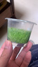 共度（Gong Du）挖耳草無(wú)菌水草杯魚(yú)缸水草植物真草造景陰性水草前景水草懶人水草 無(wú)菌杯挖耳草3杯 曬單實(shí)拍圖