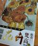油畫技法 曬單實(shí)拍圖