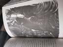 卡拉馬佐夫兄弟 皮面精裝雕刻書(shū)脊 榮如德譯 上海譯文出版社插圖珍藏本系列 陀思妥耶夫斯基文集 圖書(shū) 曬單實(shí)拍圖
