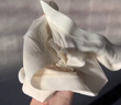 京東京造【純棉系列】女式內褲10A級抗菌三角內褲女中腰大碼女式內褲L 曬單實(shí)拍圖