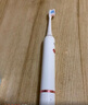 博皓（prooral）聲波電動(dòng)牙刷護齦壓感提醒 自動(dòng)牙刷成人充電式 情侶款 生日禮物T33 白色 曬單實(shí)拍圖