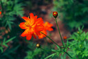 松下S5M2（20-60mm+50mm）（Panasonic）S5二代 全畫幅微單相機(jī) 約2420萬(wàn)有效像素 新相位混合對(duì)焦 曬單實(shí)拍圖