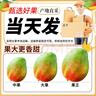 愛(ài)鮮摘農場(chǎng)四川攀枝花凱特芒果【順豐/中通-多地次日達】水果禮盒中秋送禮 稀有至尊果（單果500g-600g） 9斤禮盒裝【送禮有面】?jì)?斤 曬單實(shí)拍圖