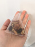 神堂谷桑葚枸杞桂圓紅棗組合茶女人養生花茶黃芪蘋(píng)果秋季女士7g*10袋/盒 曬單實(shí)拍圖