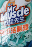 威猛先生（Mr Muscle）强效洁厕液 洁厕灵丁香香型 600gX4瓶 实拍图